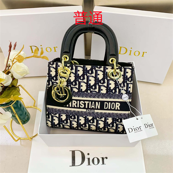 Dior small bag-0351