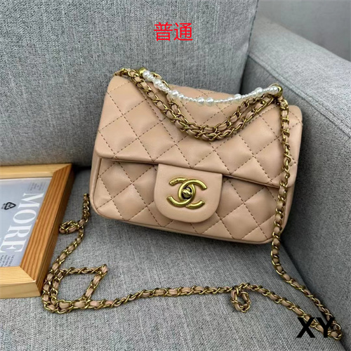 Chanel small bag-0120