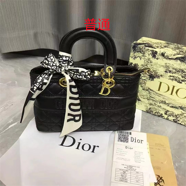 Dior small bag-0368