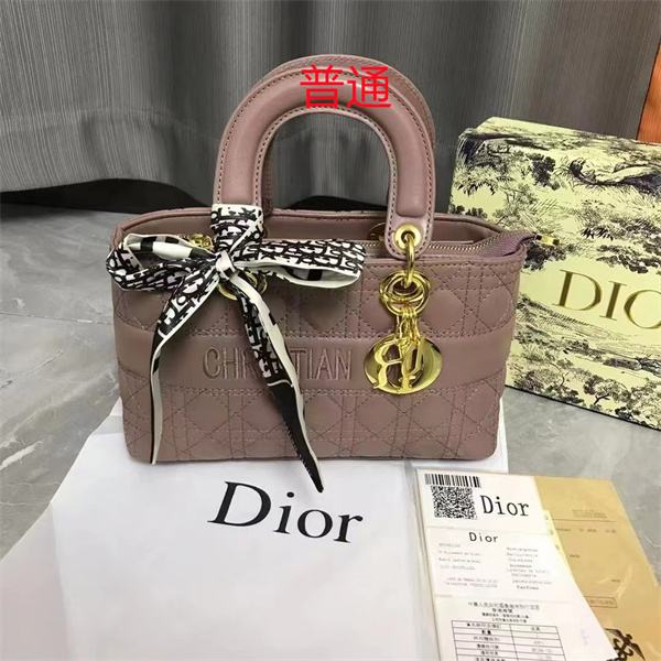 Dior small bag-0369