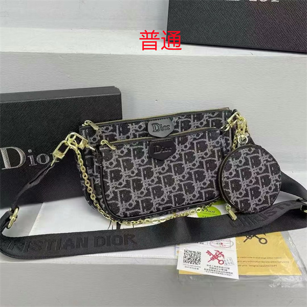 Dior small bag-0377