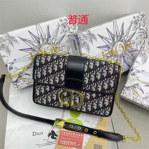 Dior small bag-0393