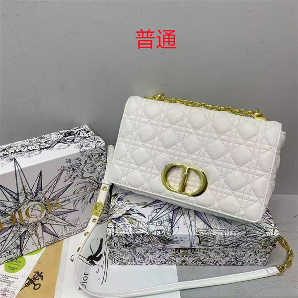 Dior small bag-0400