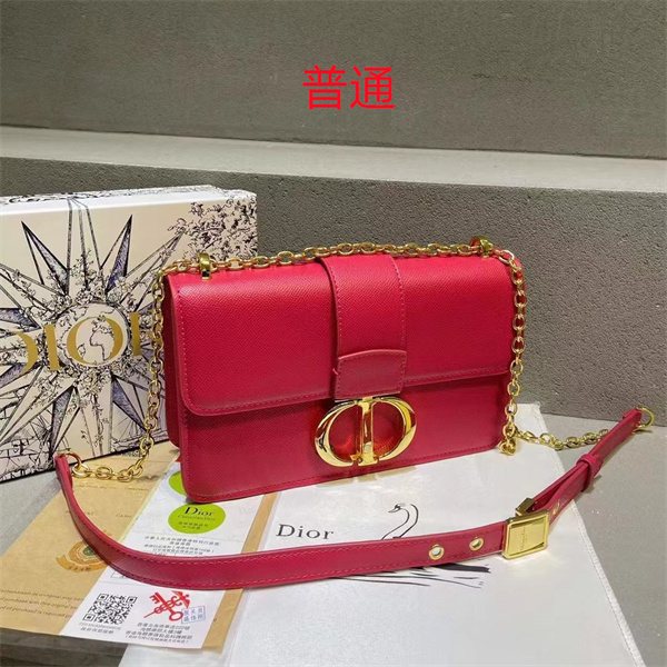 Dior small bag-0403