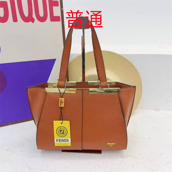 Fendi bag-0173