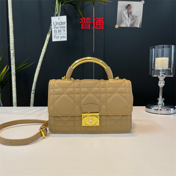Dior small bag-0414