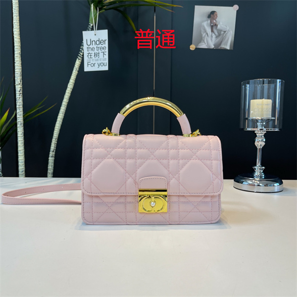 Dior small bag-0416
