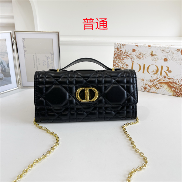 Dior small bag-0452