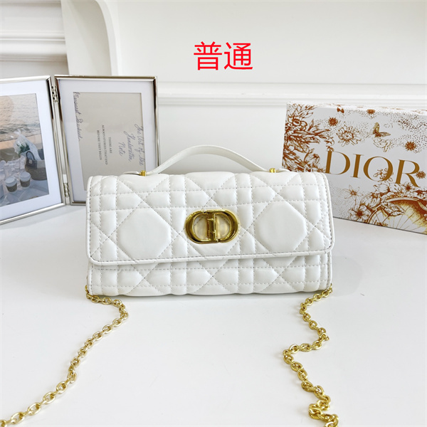 Dior small bag-0454