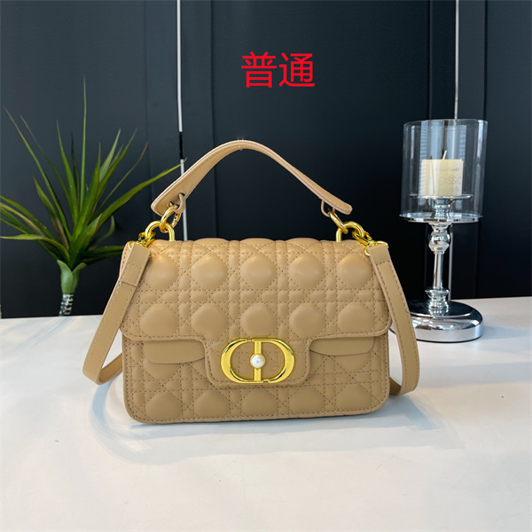 Dior small bag-0458