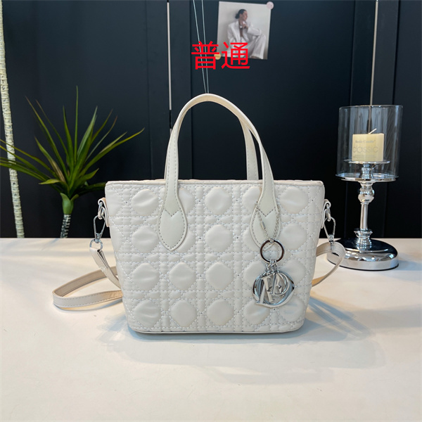 Dior small bag-0463