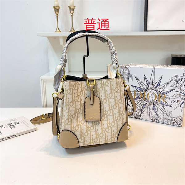 Dior small bag-0476