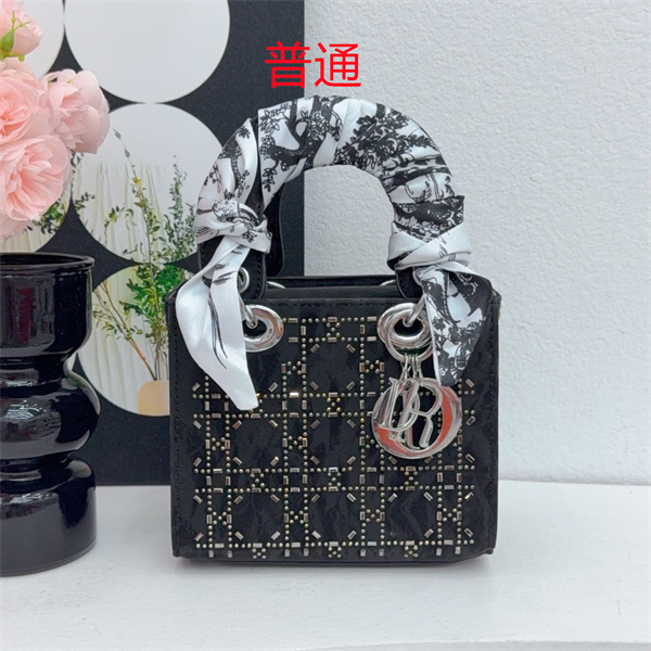 Dior small bag-0483