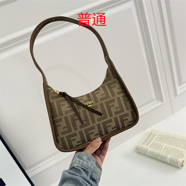 Fendi small bag-0101