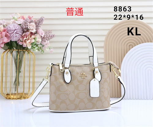 Coach small bag-0110