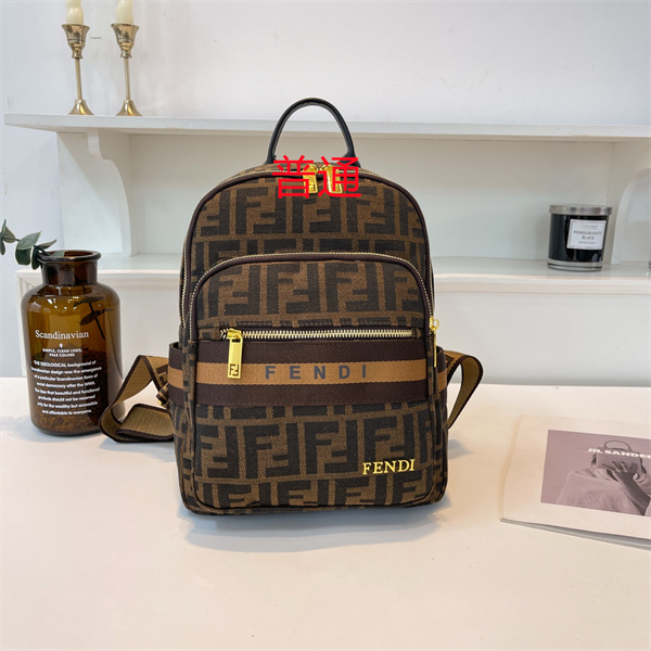 Fendi small bag-0179