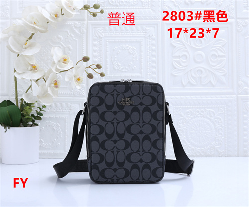 Coach small bag-0116