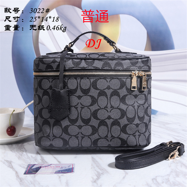 Coach small bag-0136