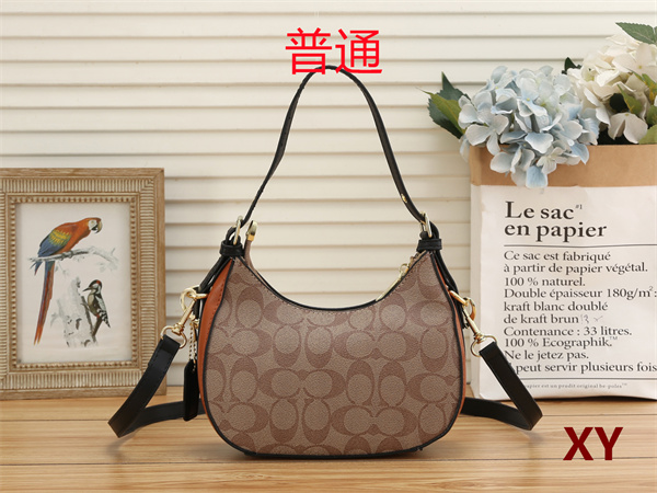 Coach small bag-0142
