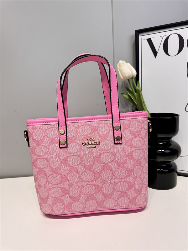 Coach small bag-0151