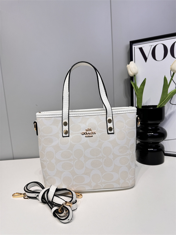 Coach small bag-0154