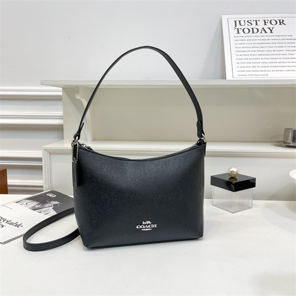 Coach small bag-0162