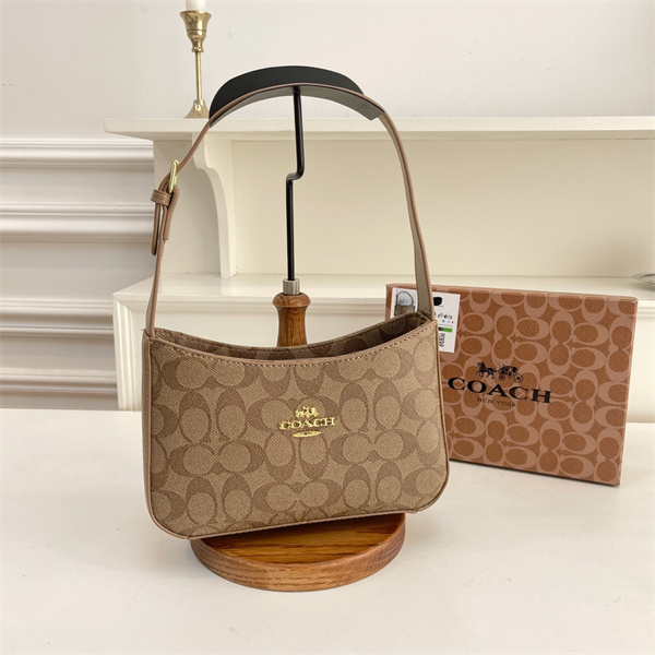 Coach small bag-0168