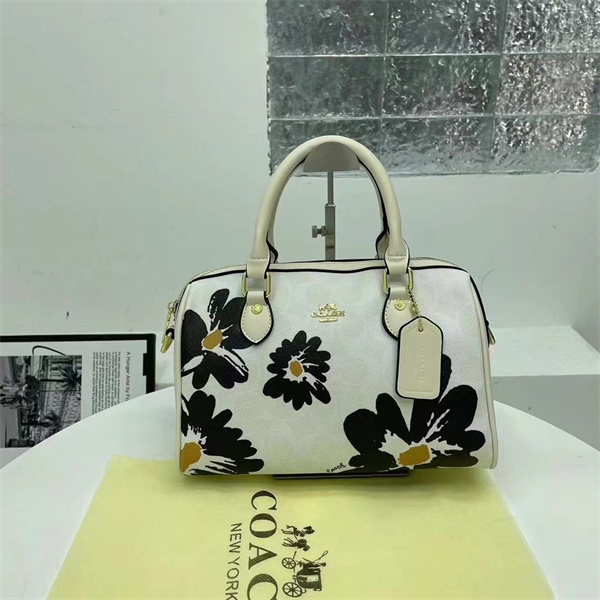 Coach small bag-0179