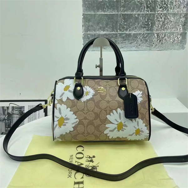 Coach small bag-0180
