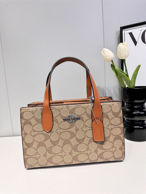 Coach small bag-0198