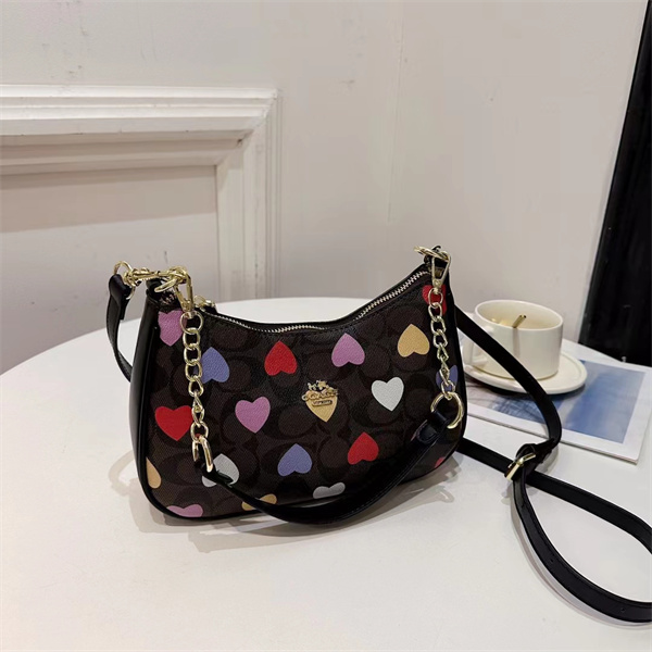 Coach small bag-0205