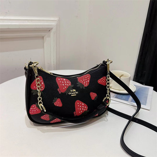 Coach small bag-0208