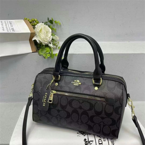 Coach small bag-0209