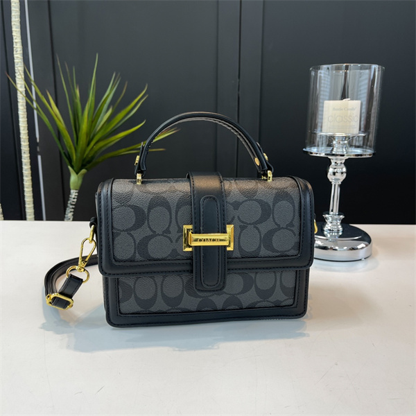 Coach small bag-0221