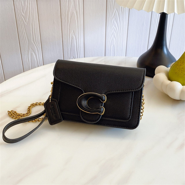 Coach small bag-0225