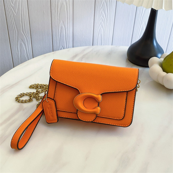 Coach small bag-0230