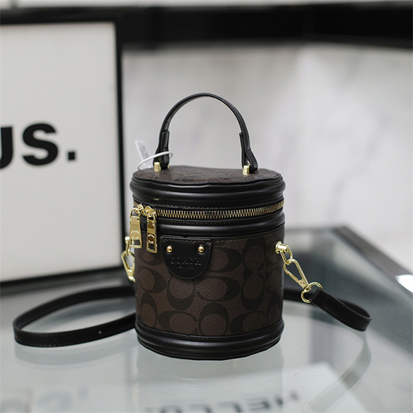 Coach small bag-0237