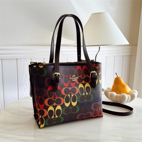 Coach small bag-0259