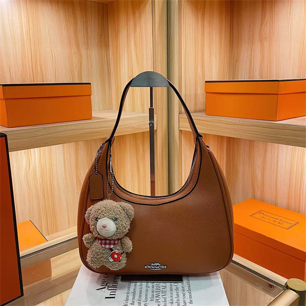 Coach small bag-0288