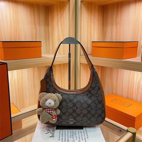 Coach small bag-0289