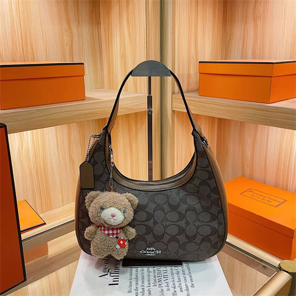 Coach small bag-0290
