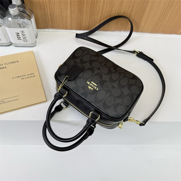 Coach small bag-0313