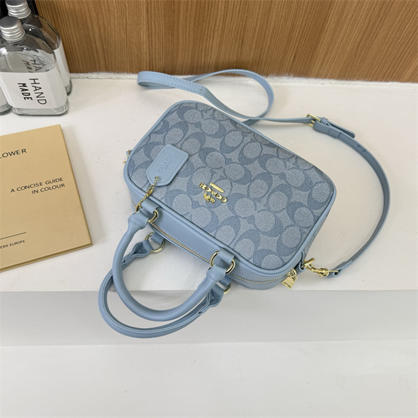 Coach small bag-0315