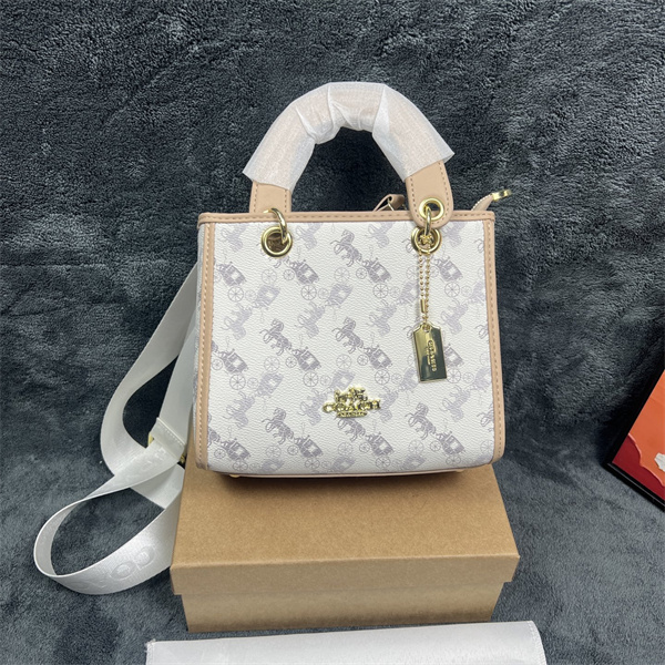 Coach small bag-0322