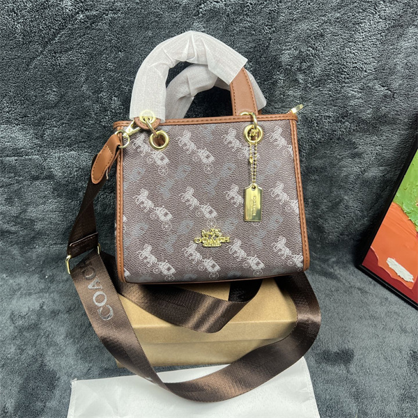 Coach small bag-0323