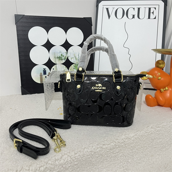 Coach small bag-0328