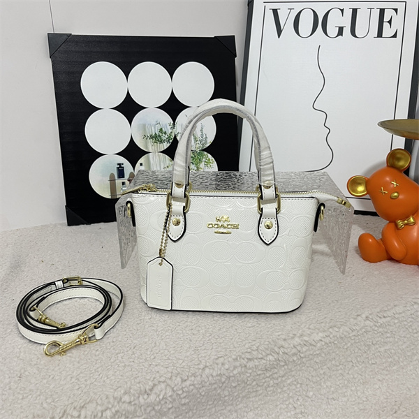 Coach small bag-0330