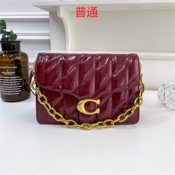Coach small bag-0358