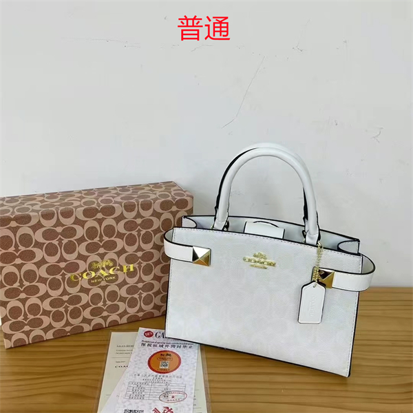 Coach small bag-0385