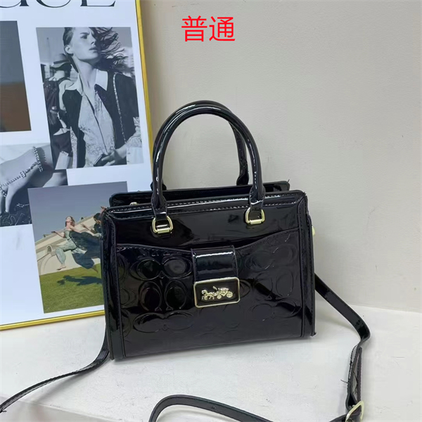 Coach small bag-0391